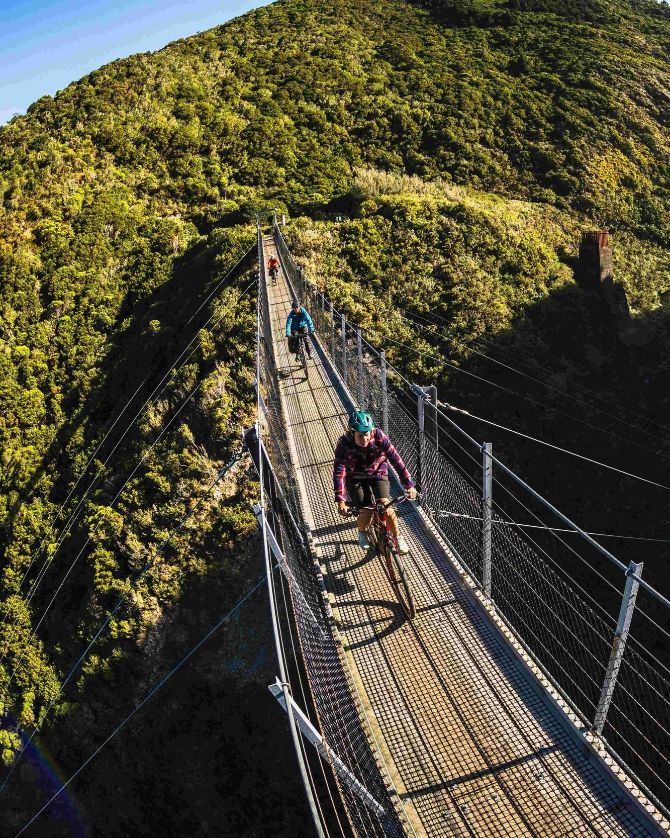 Med+res+1.5mb+WNZ_Rail+trail+Section_Remutaka+Cycle+Trail_16032024_Wellington+Regional+Trails_Credit_Caleb+Smith+Photography_ExpApr2039+%287%29.jpg