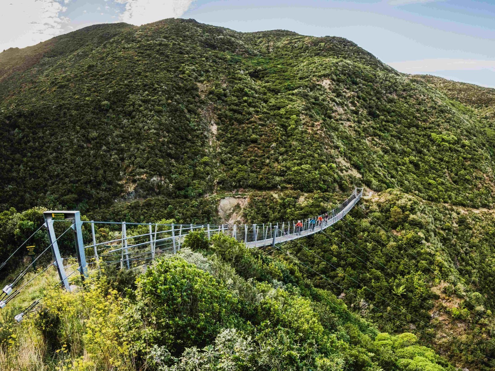WNZ_Rail+trail+Section_Remutaka+Cycle+Trail_16032024_Wellington+Regional+Trails_Credit_Caleb+Smith+Photography_ExpApr2039+%286%29+small.jpg