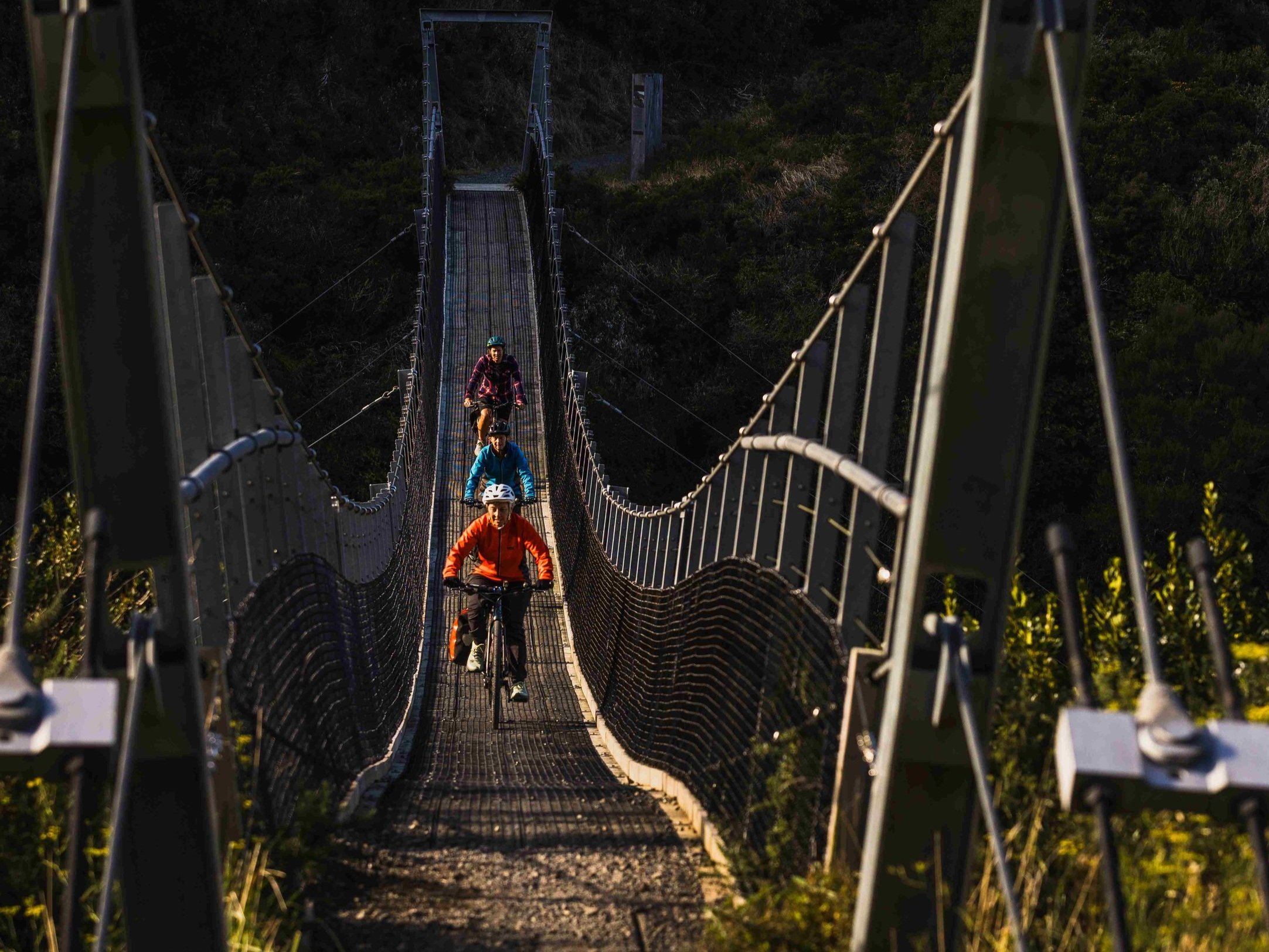 smallWNZ_Rail+trail+Section_Remutaka+Cycle+Trail_16032024_Wellington+Regional+Trails_Credit_Caleb+Smith+Photography_ExpApr2039+%281%29.jpg