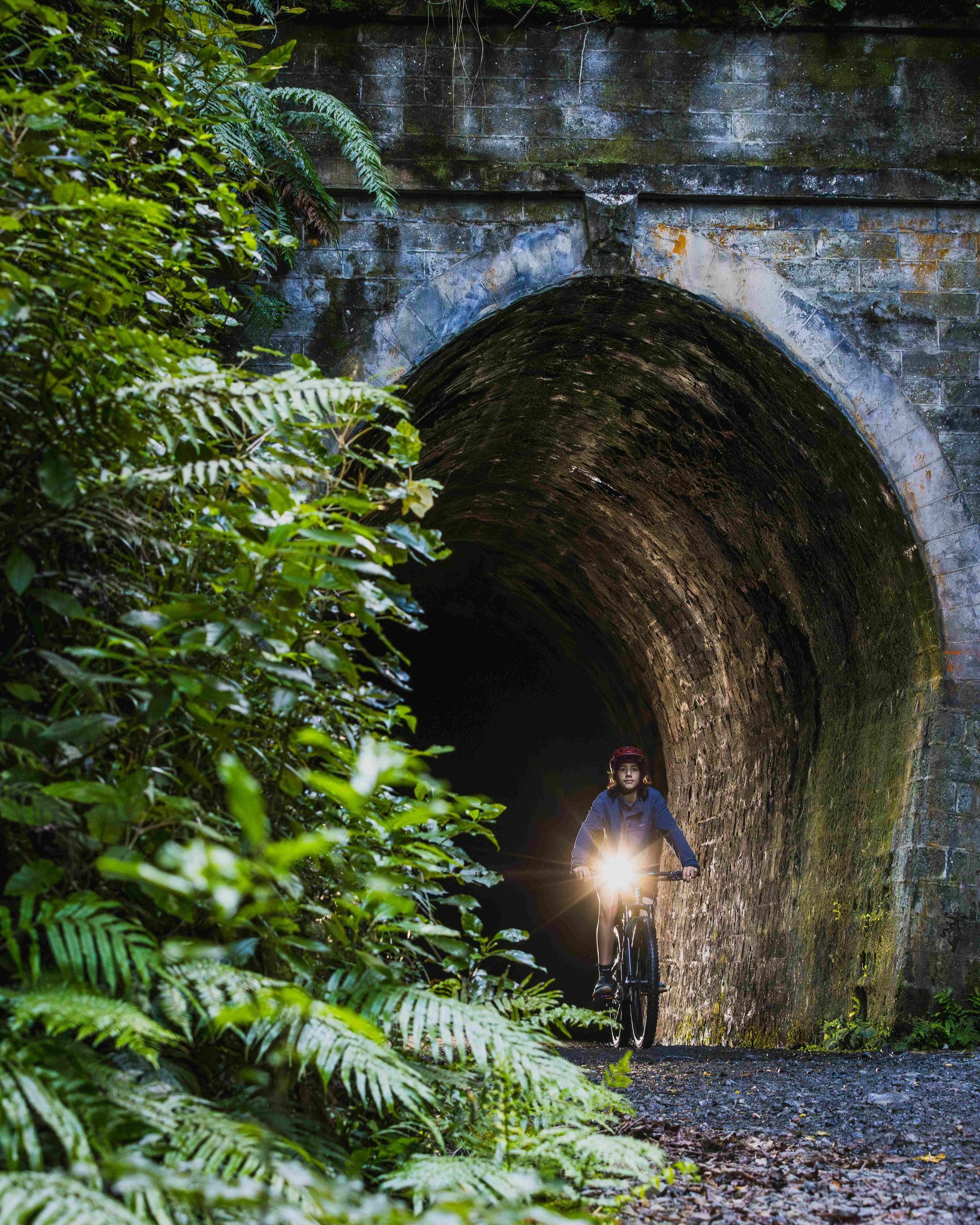 smallWNZ_Rail+trail+Section_Remutaka+Cycle+Trail_16032024_Wellington+Regional+Trails_Credit_Caleb+Smith+Photography_ExpApr2039+%284%29.jpg