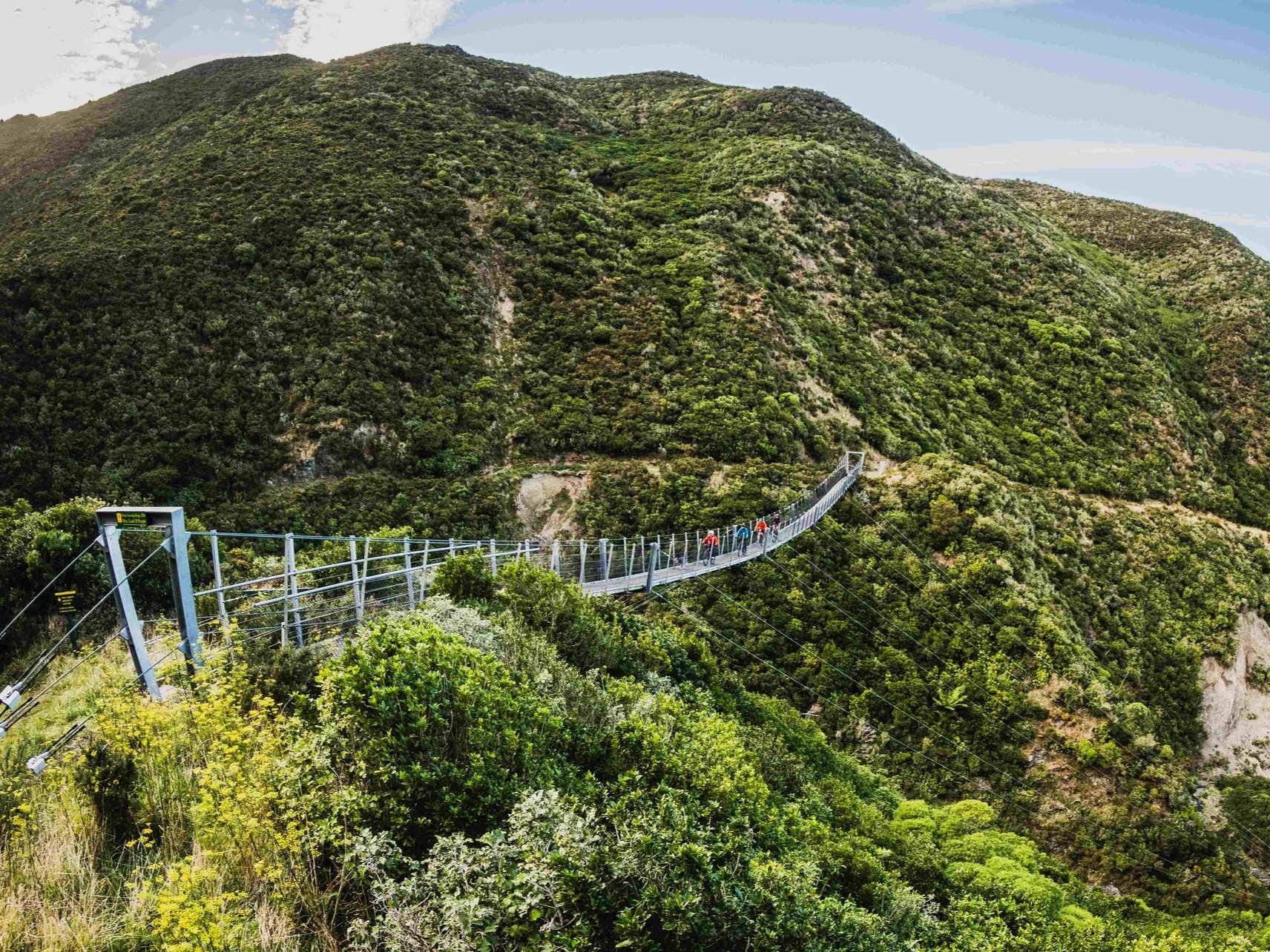WNZ_Rail+trail+Section_Remutaka+Cycle+Trail_16032024_Wellington+Regional+Trails_Credit_Caleb+Smith+Photography_ExpApr2039+%286%29+small.jpg
