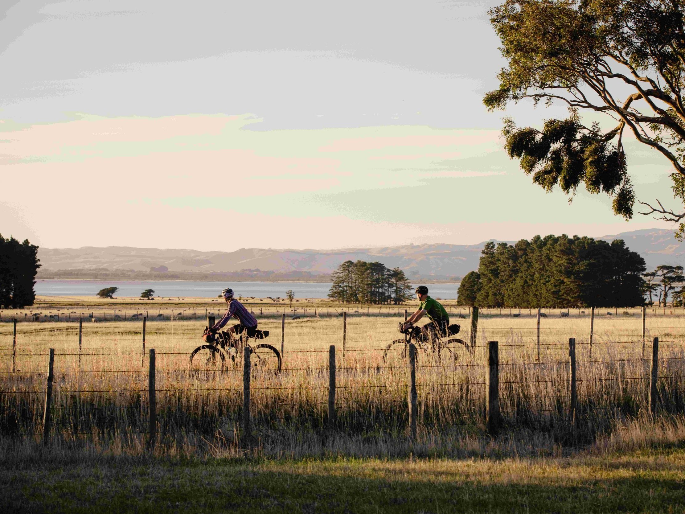 Med+res+1.4mb+WNZ_Western+Lake+Road+Section_Remutaka+Cycle+Trail_09032024_Wellington+Regional+Trails_Credit_Caleb+Smith+Photography_ExpApr2039+%281%29.jpg