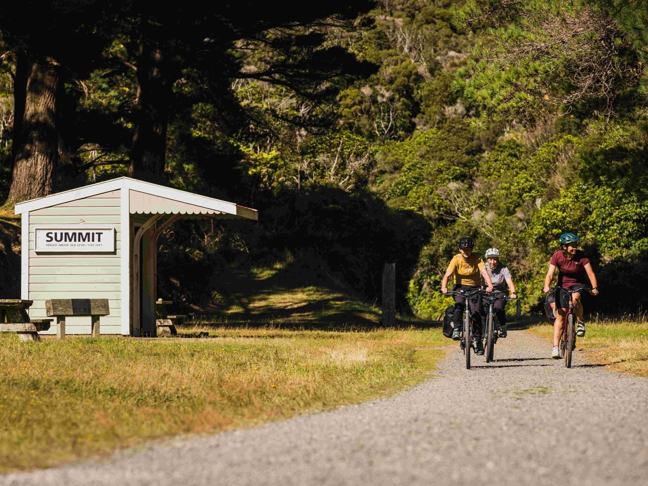Med+res+1.4mb+WNZ_Rail+trail+Section_Remutaka+Cycle+Trail_16032024_Wellington+Regional+Trails_Credit_Caleb+Smith+Photography_ExpApr2039+%285%29.jpg