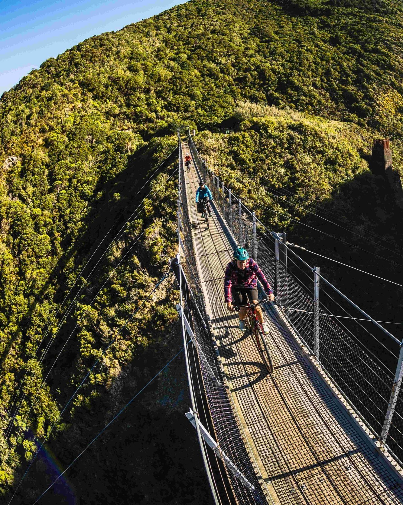 Med+res+1.5mb+WNZ_Rail+trail+Section_Remutaka+Cycle+Trail_16032024_Wellington+Regional+Trails_Credit_Caleb+Smith+Photography_ExpApr2039+%287%29.jpg