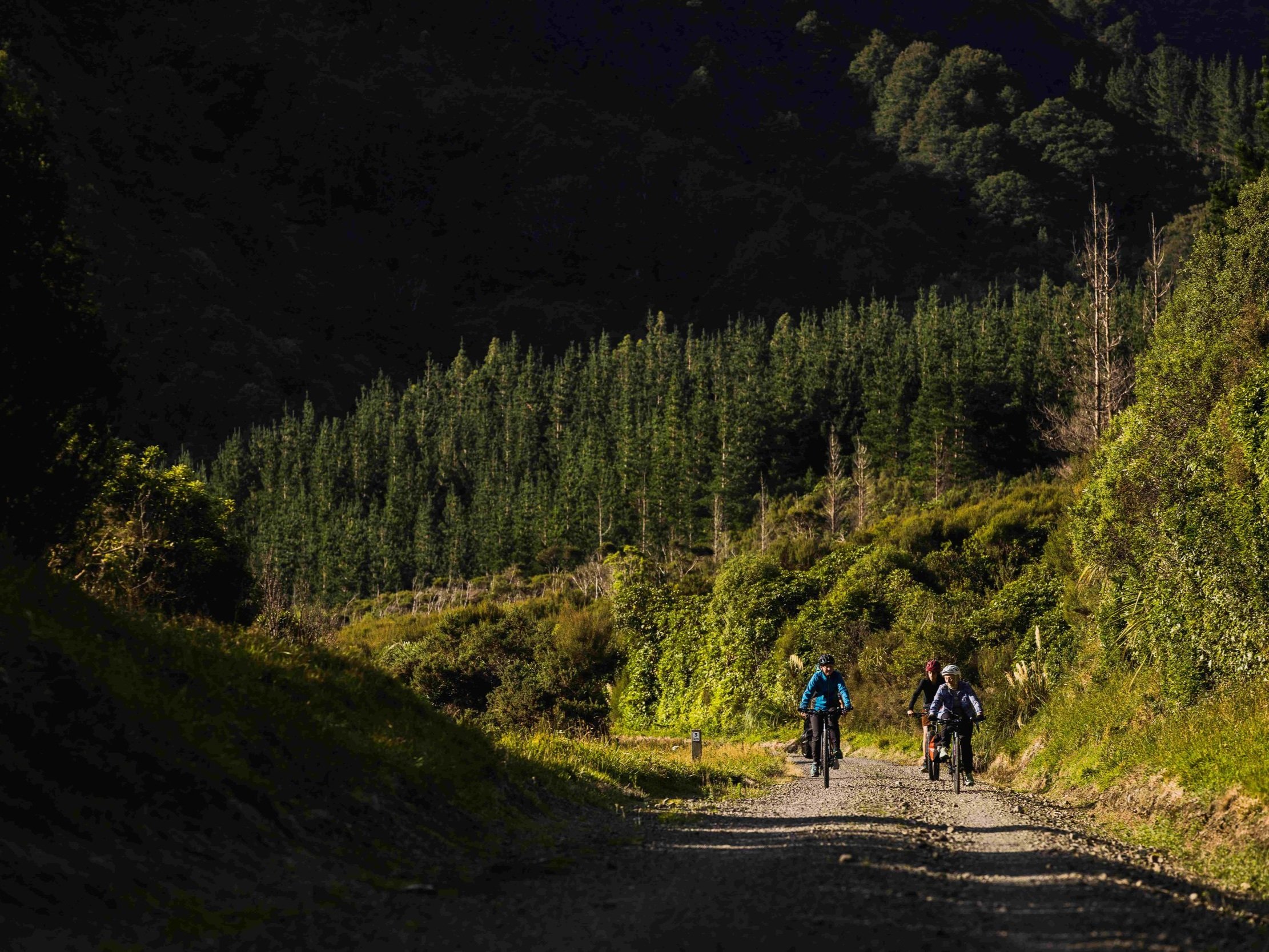 smallerWNZ_Rail+trail+Section_Remutaka+Cycle+Trail_16032024_Wellington+Regional+Trails_Credit_Caleb+Smith+Photography_ExpApr2039+%2810%29.jpg