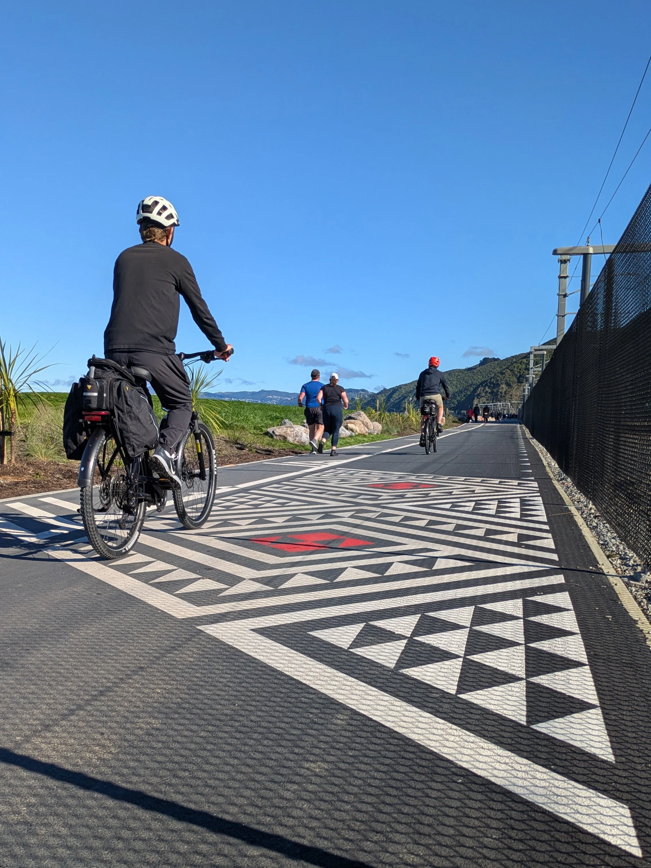Wellington harbour mountain bike explorer