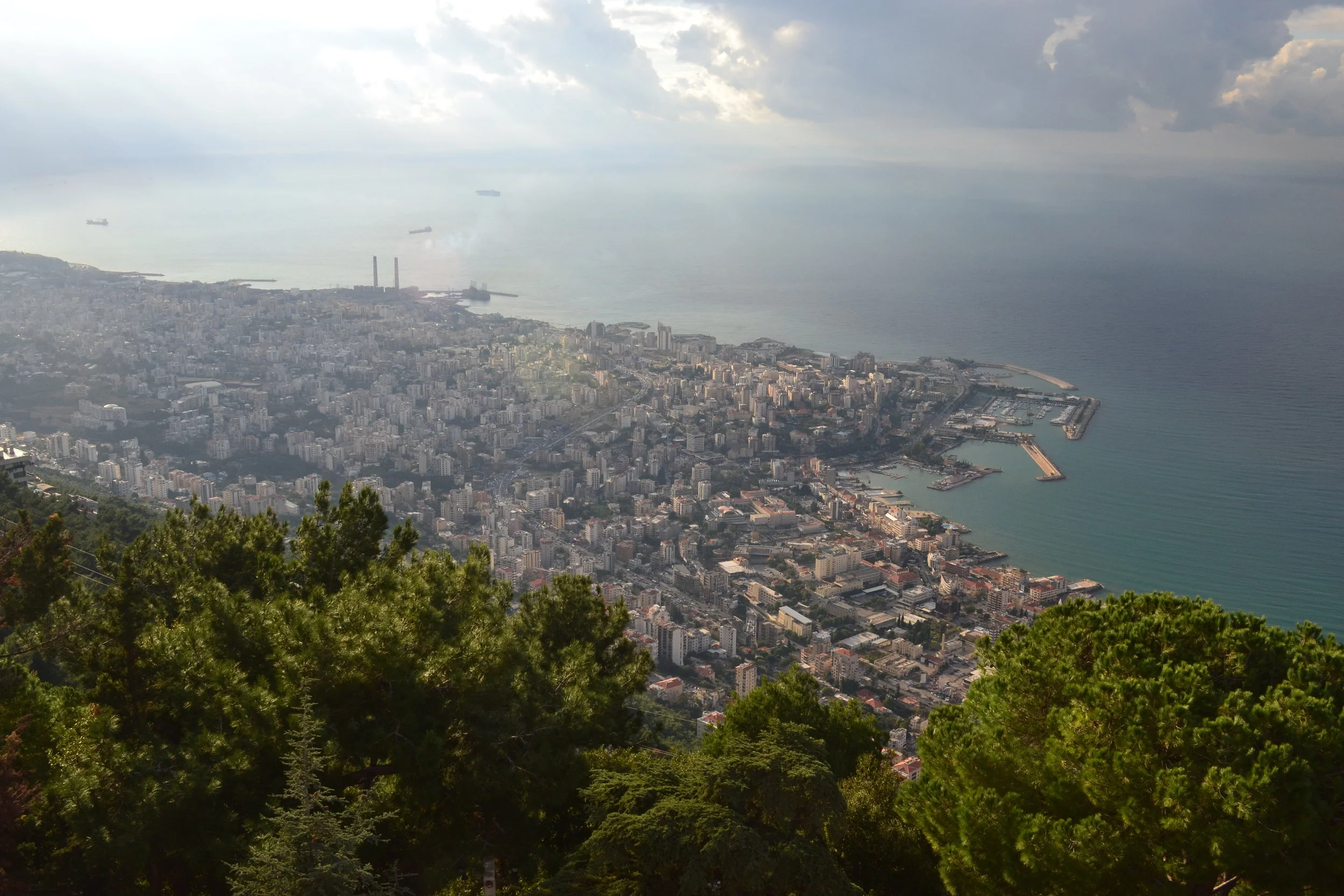 DSC_0773.JPG