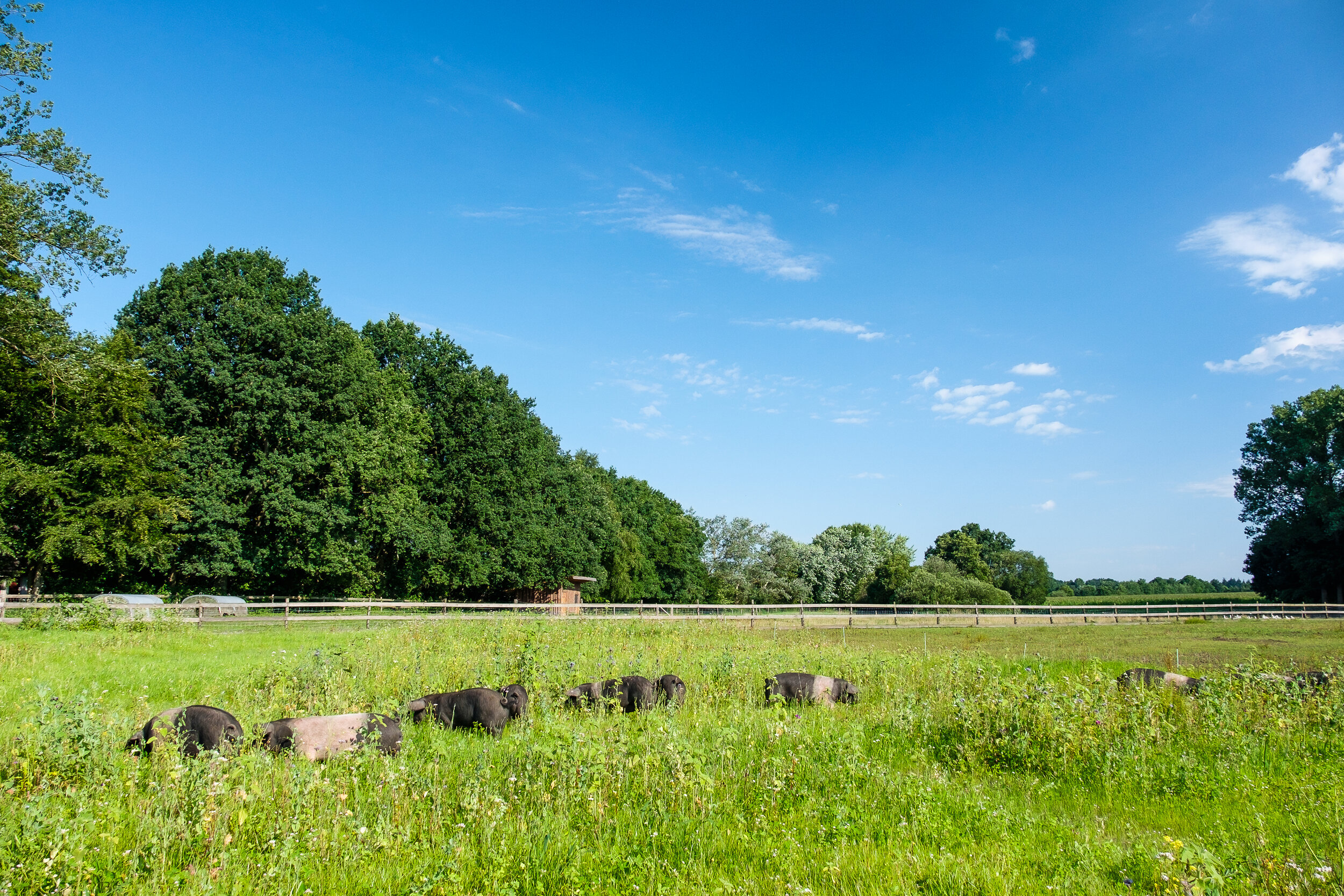 Ostermuehlen_Benner_073.jpg