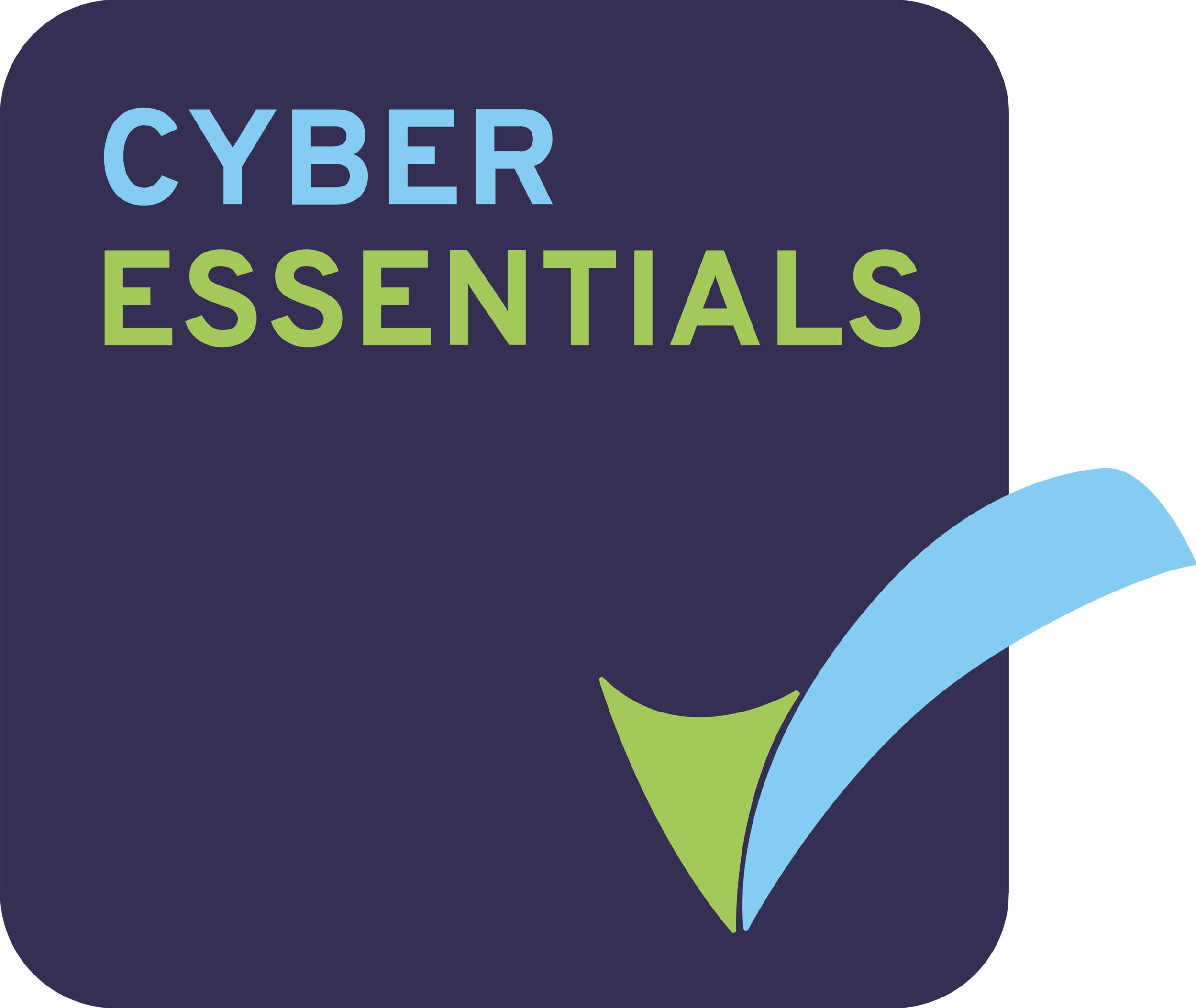 Cyber Essentials Badge (High Res).png
