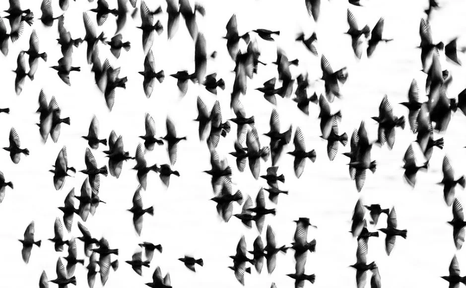 Liberation concert 2018