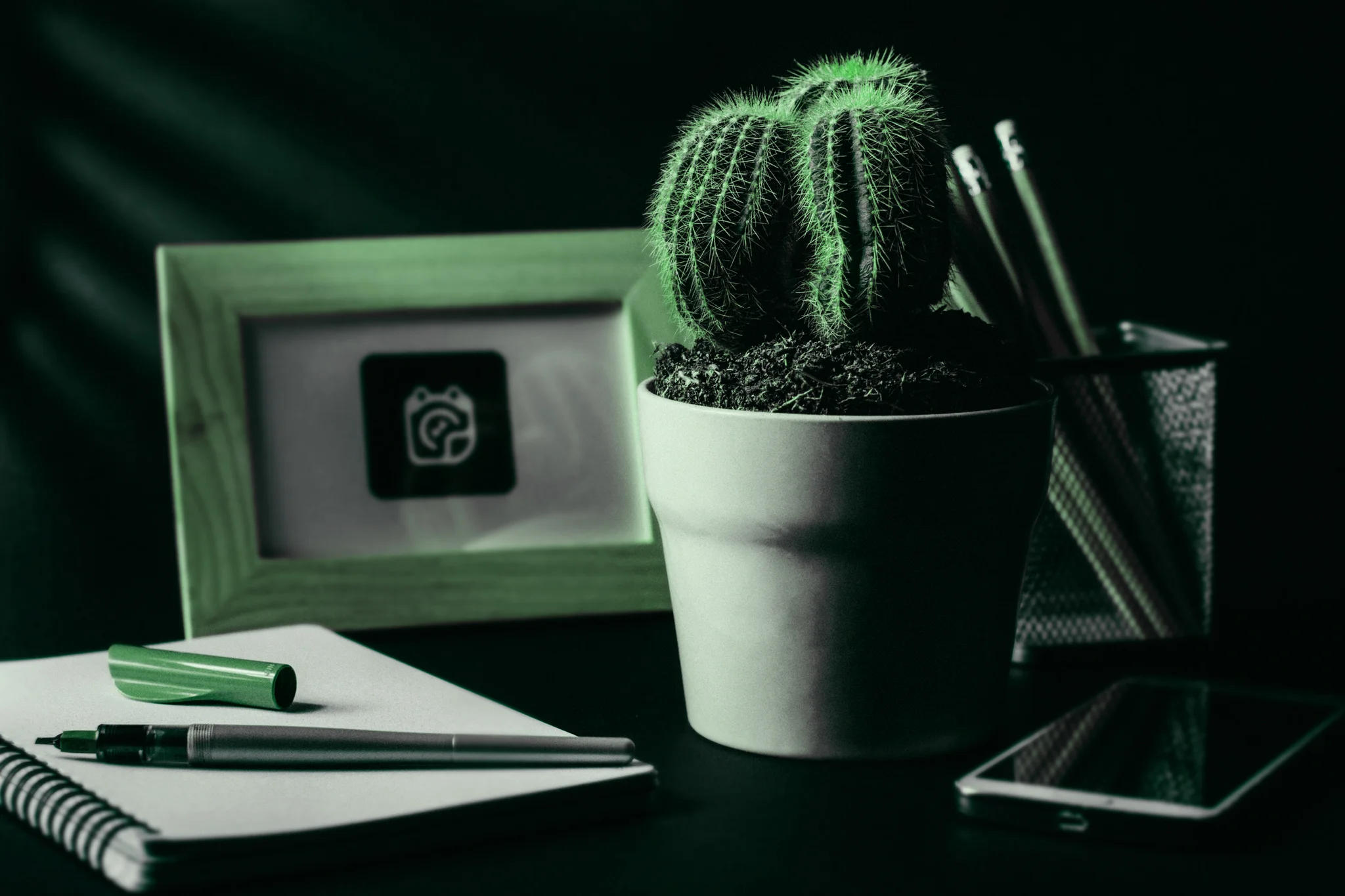 Workplace-Wellbeing-Cactus.jpg