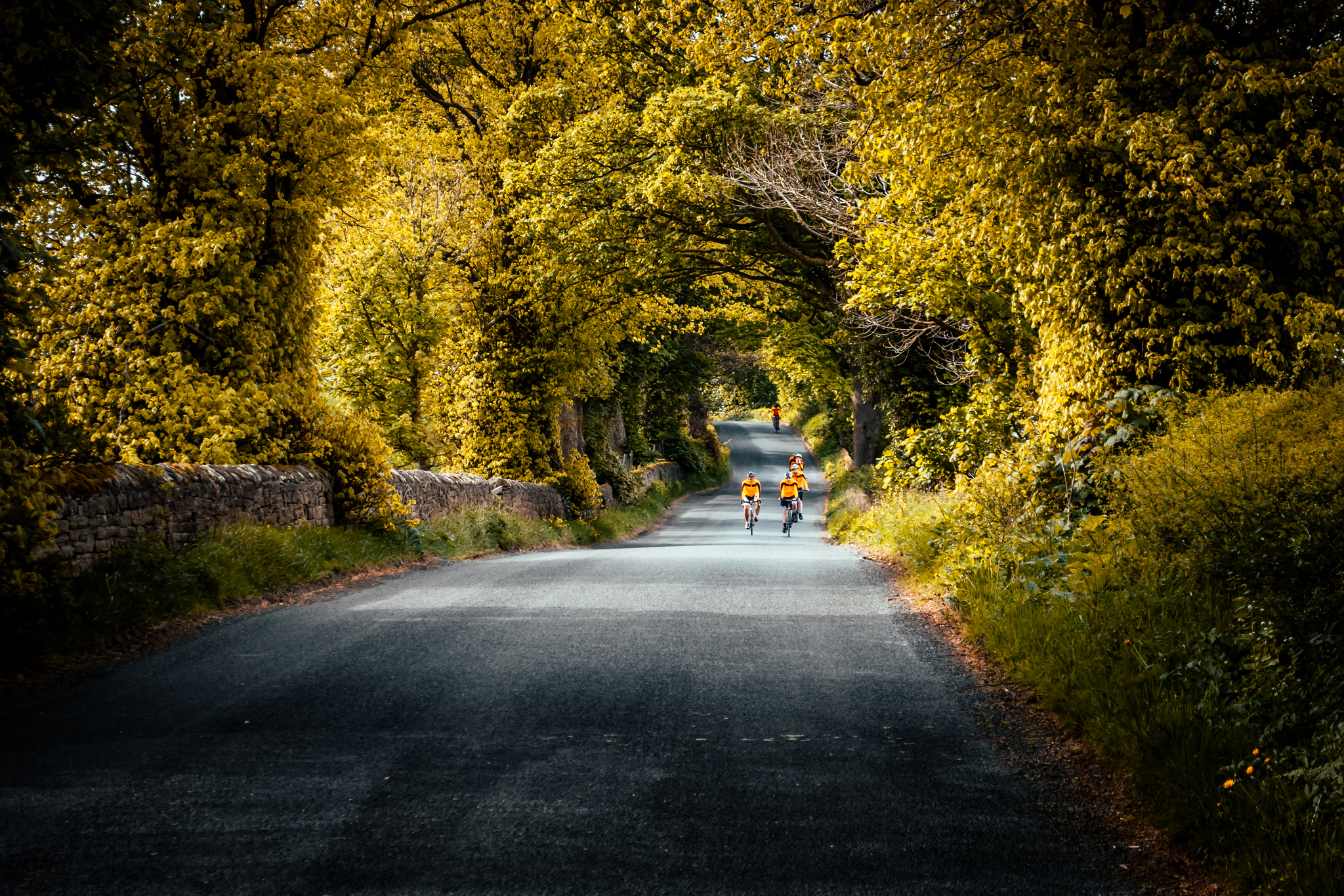 Carter-Jonas-Pedalthon-2018-33.jpg