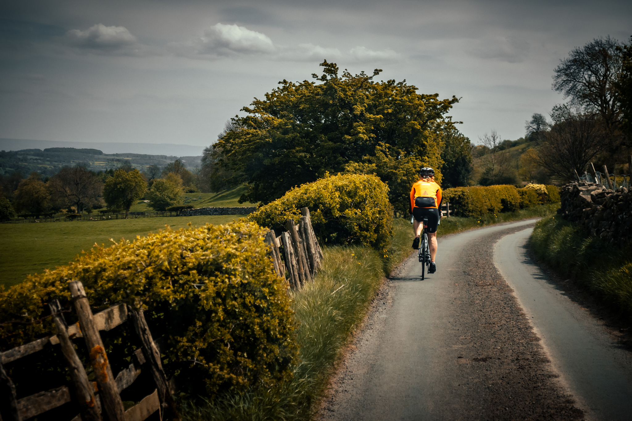 Carter-Jonas-Pedalthon-2018-301.jpg