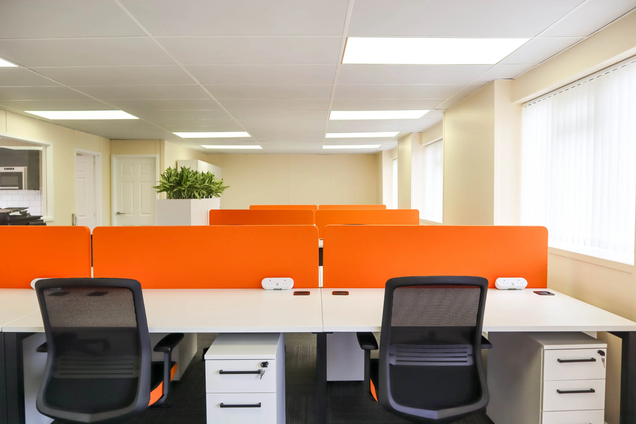 Vista Financial Management