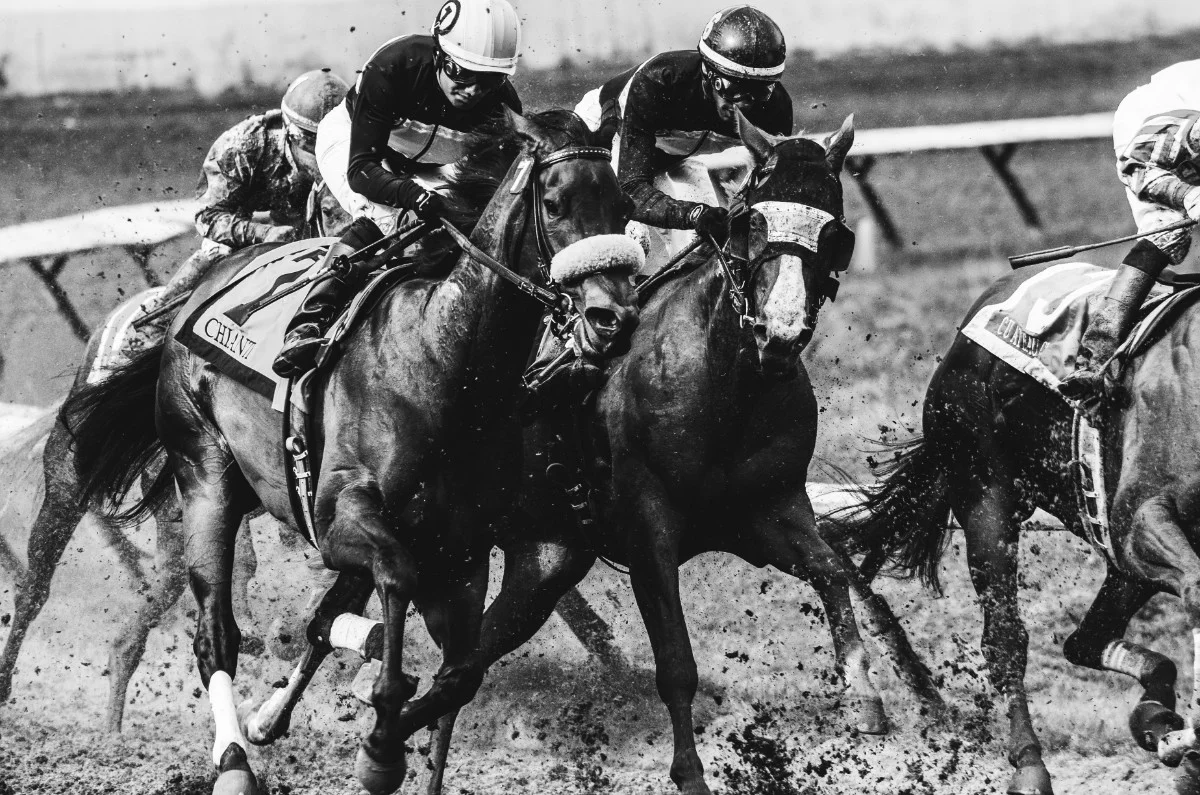 BATTLE IN THE BACKSTRETCH.jpg