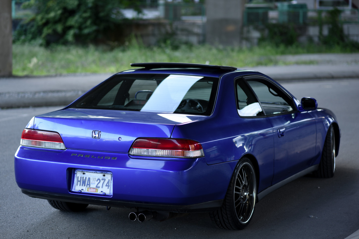 DSC_8564.jpg