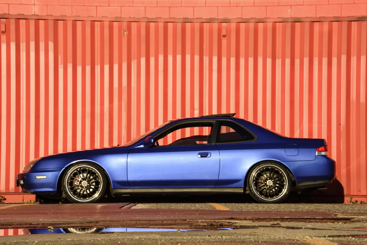 DSC_8499.jpg