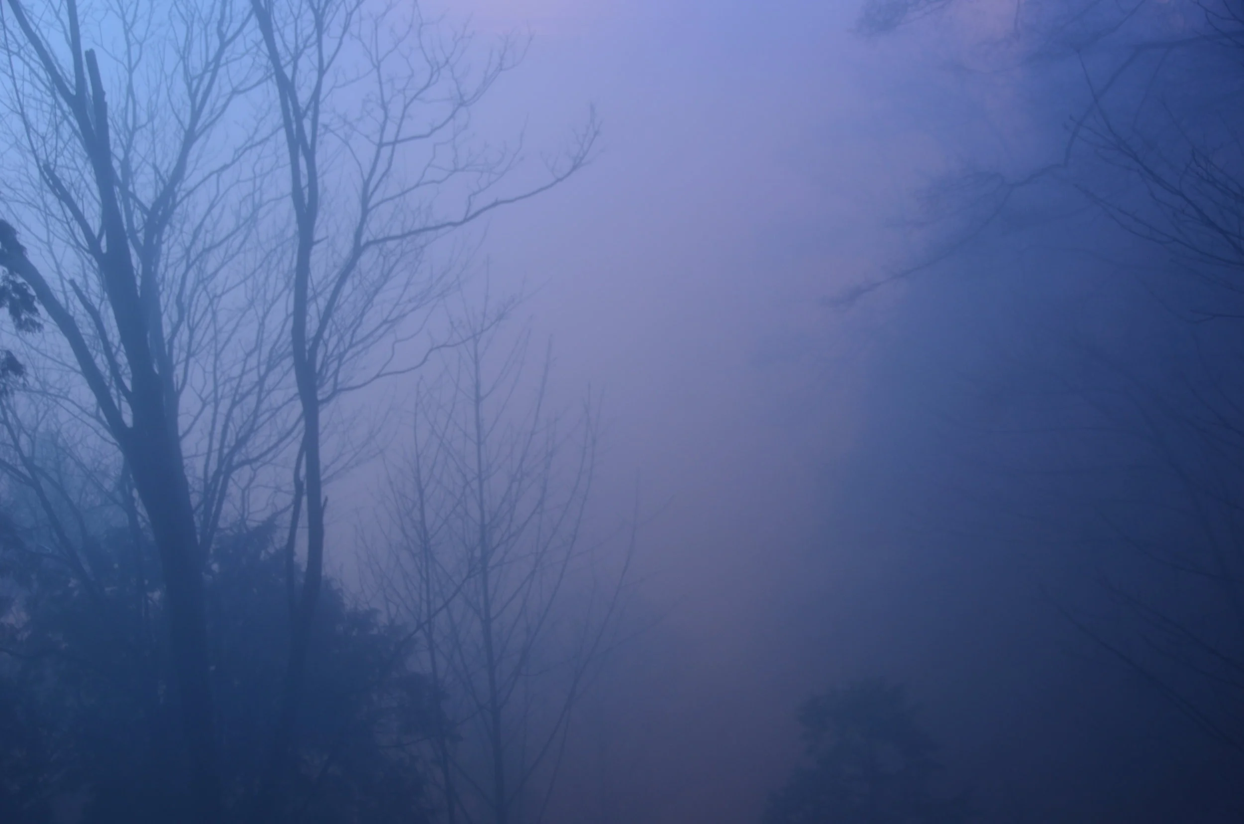 DSC_1129.jpg