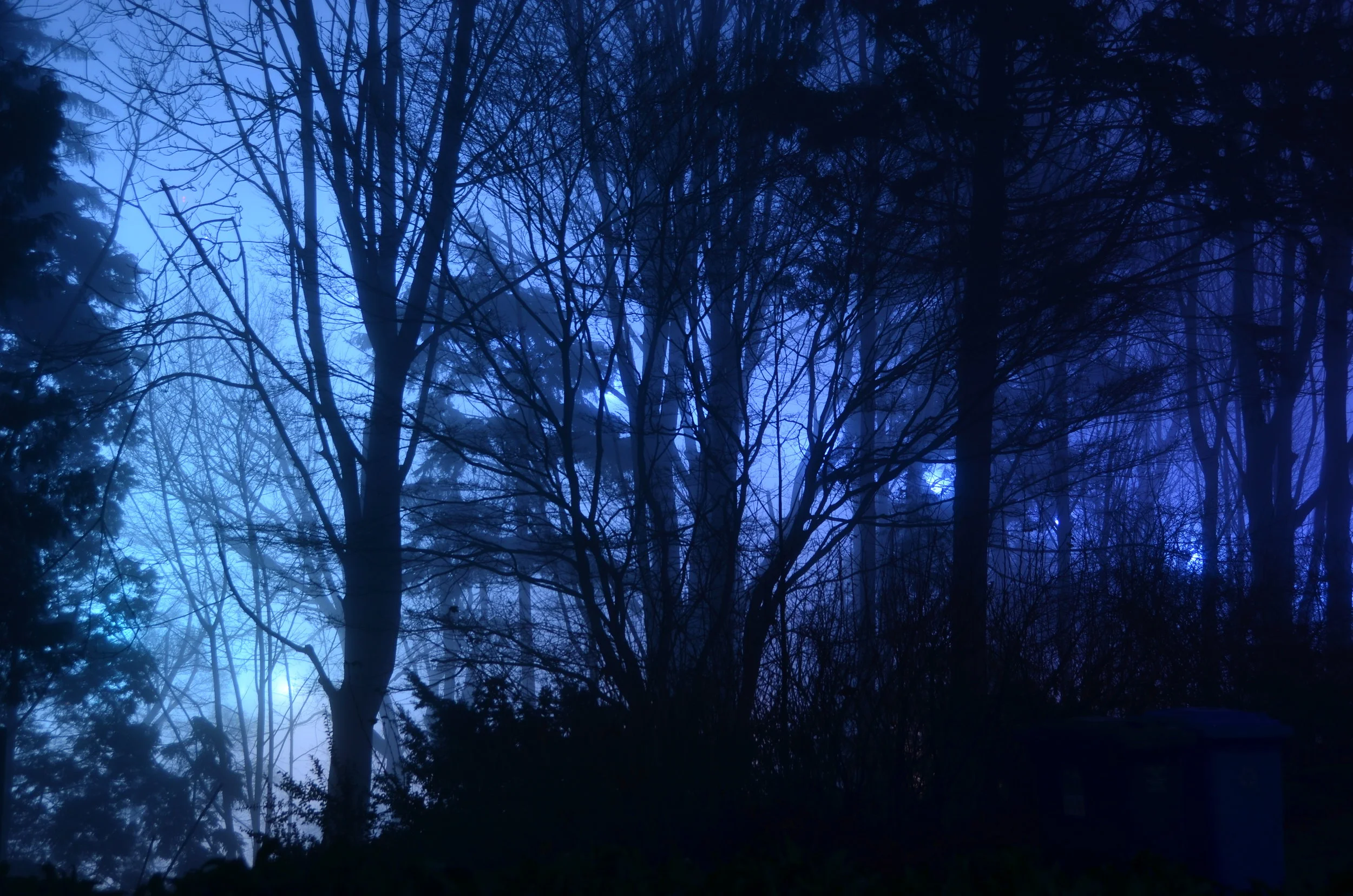 DSC_1125.jpg