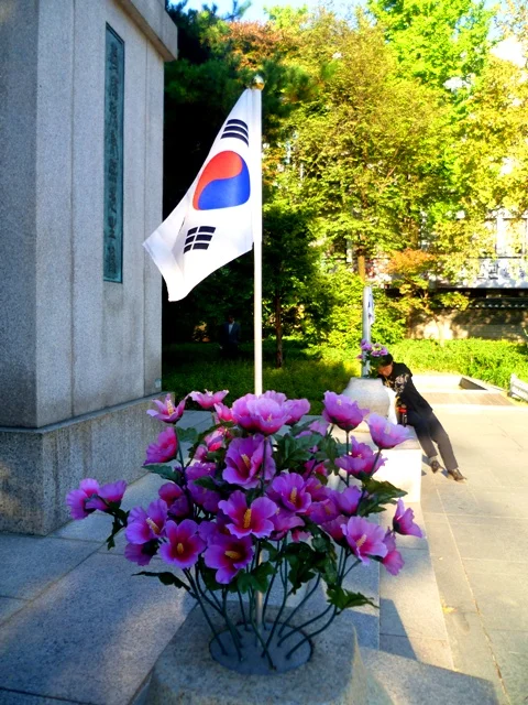 Seoul - flowering with national pride...