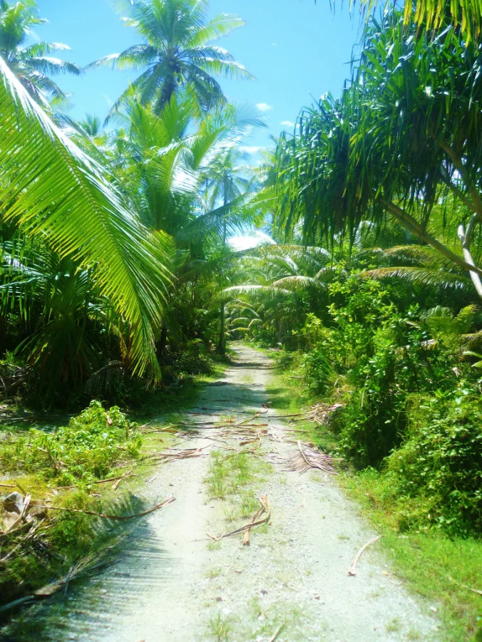 Niutao's equivalent of the M25...