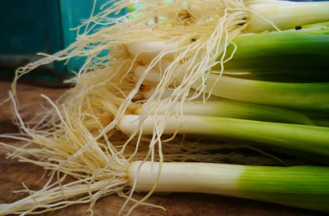 Never have spring onions been so valuable...