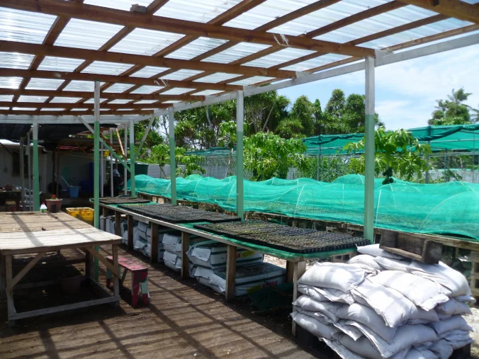 Inside the vegetable fortress...