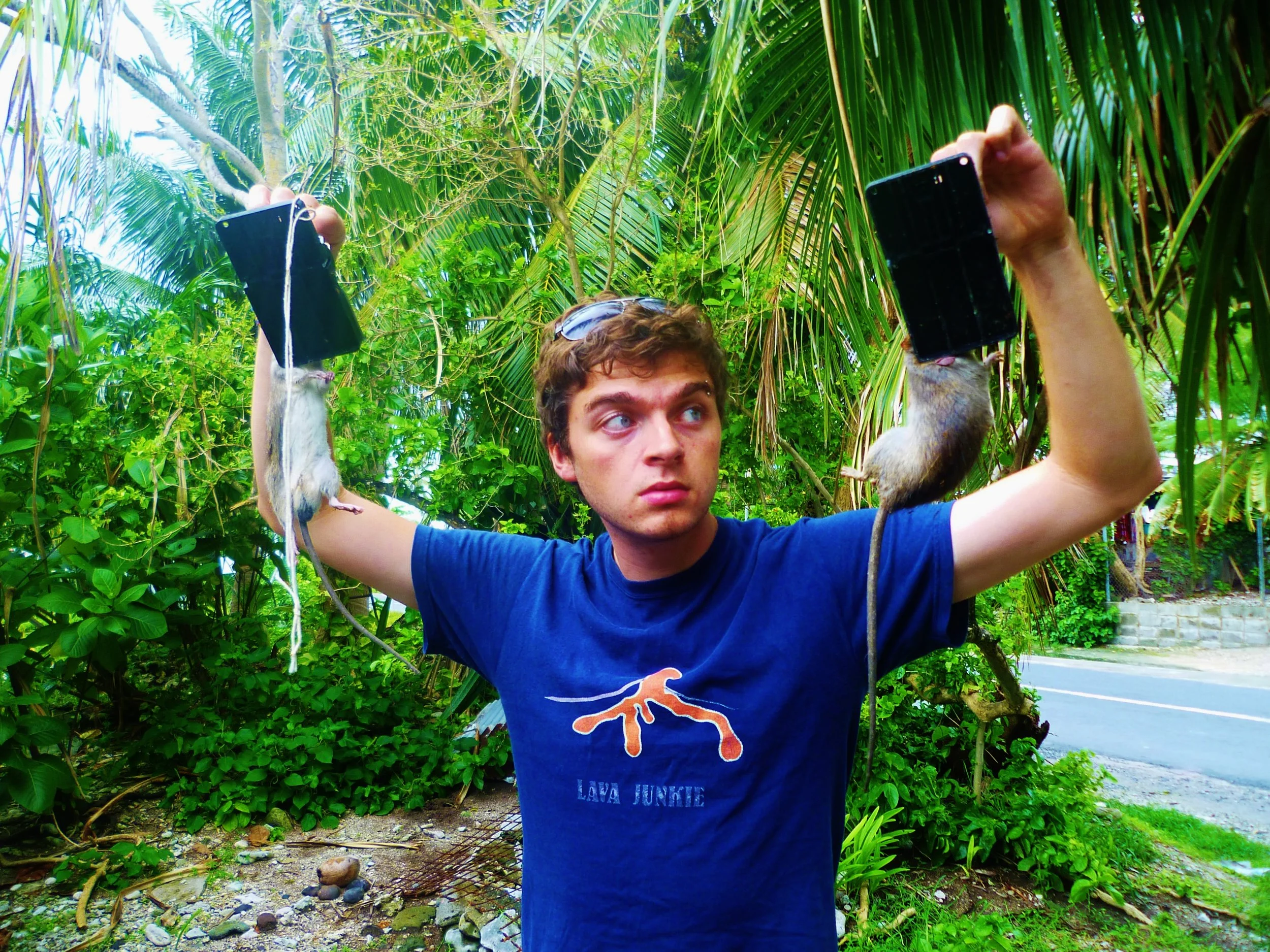 Rat catching becomes much easier after the arrival of 'proper' traps...