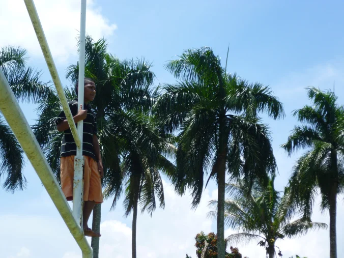 Palm trees and rugby - two bastions of Fijian life...