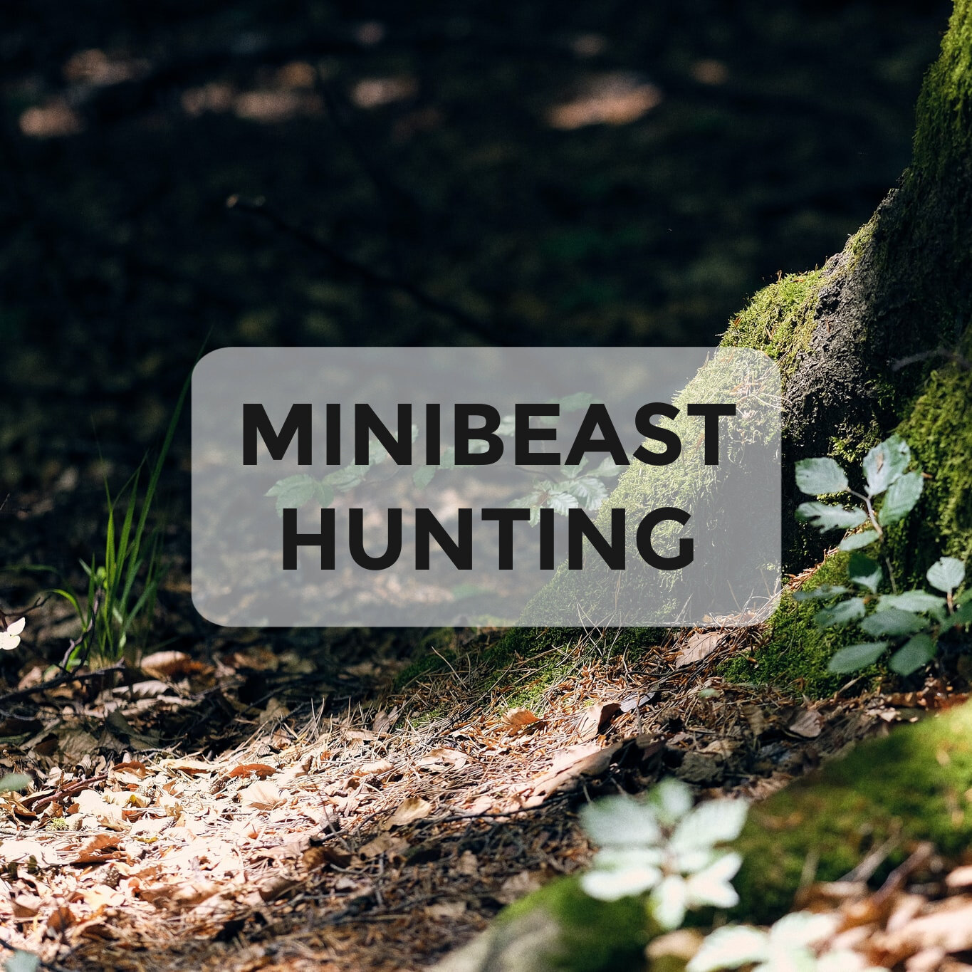MInibeast Hunting.jpg