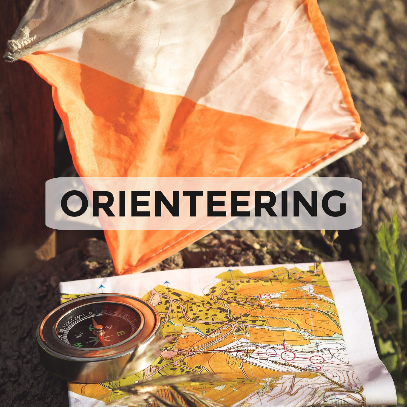 Orienteeering.jpg