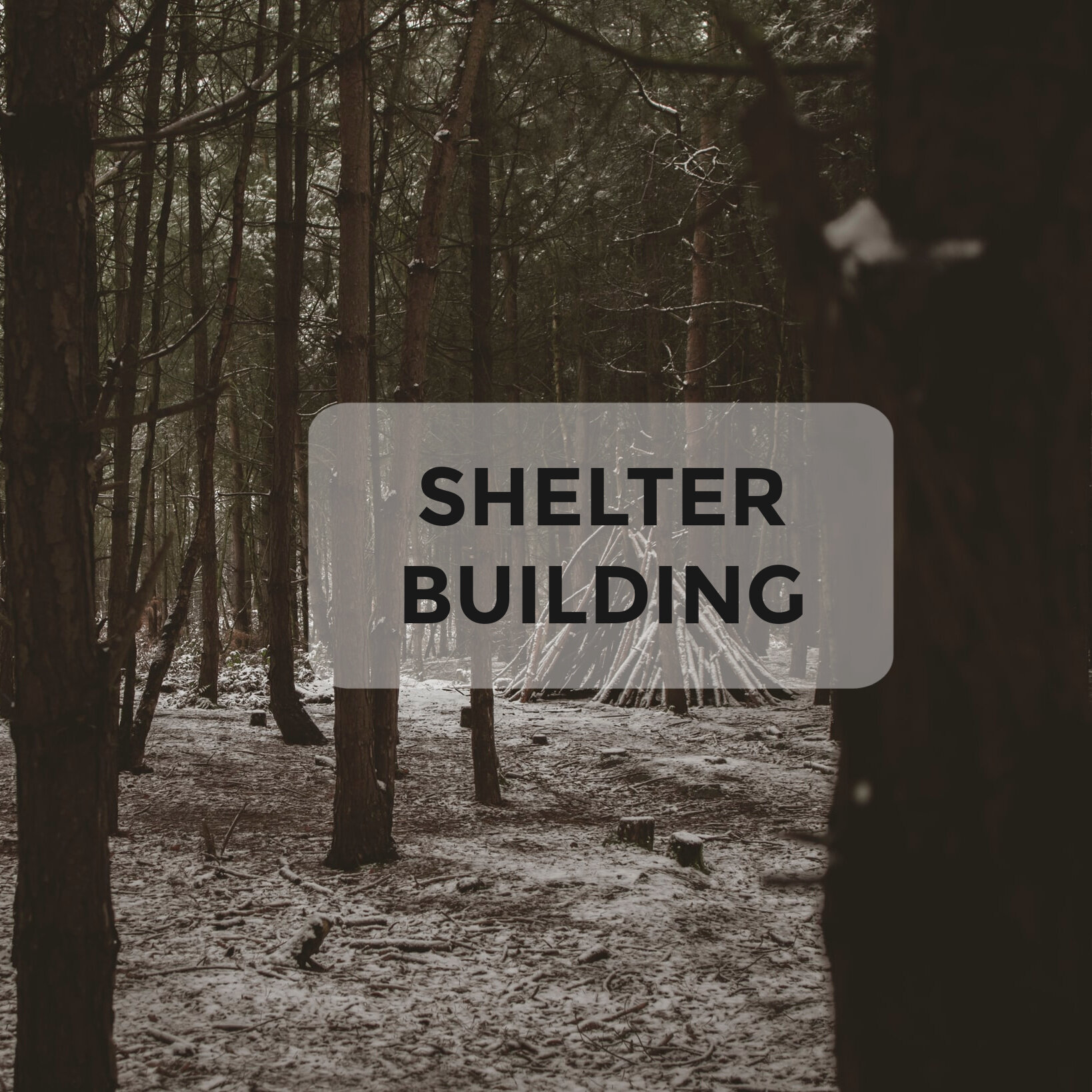 Shelter Building.jpg