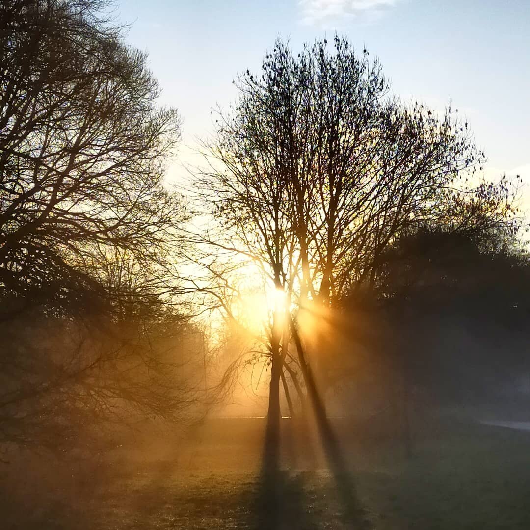 Misty morning rays reminding me that spring isn't a million miles away! Really thankful for my two wheels this morning for giving me the chance to #getoutside and explore a bit more of my local area 🚴 #travel #adventure #explore #exploremore #explor