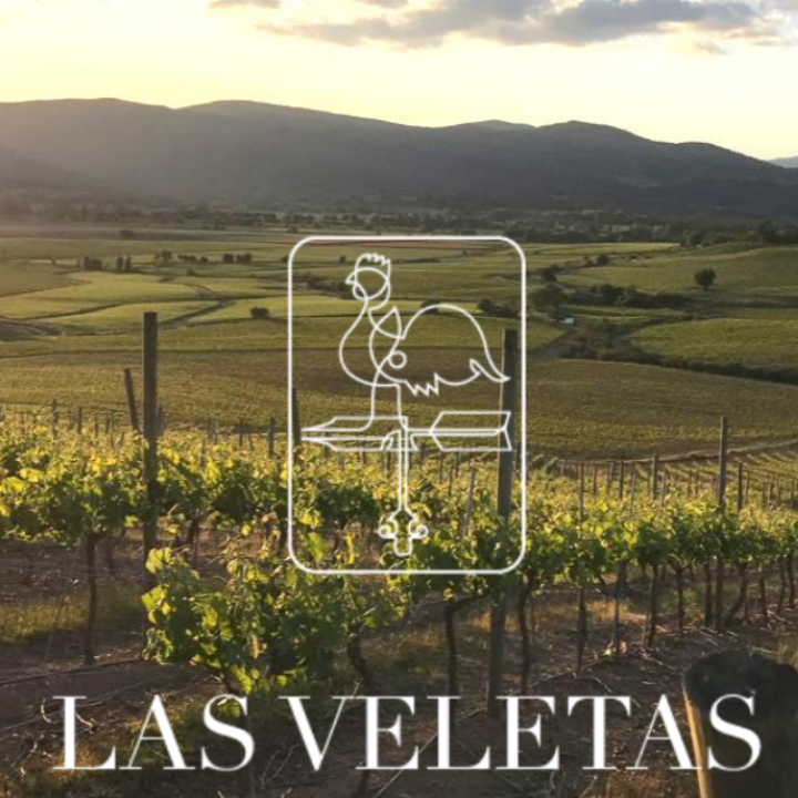 BOTTLE SHOTS (13).png