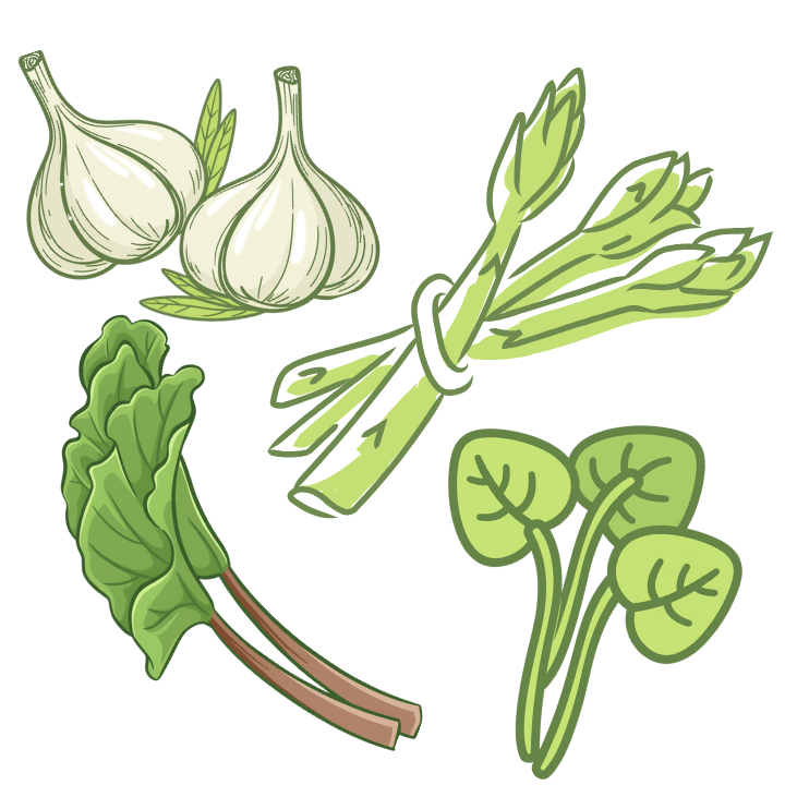 BOTTLE SHOTS (15).png