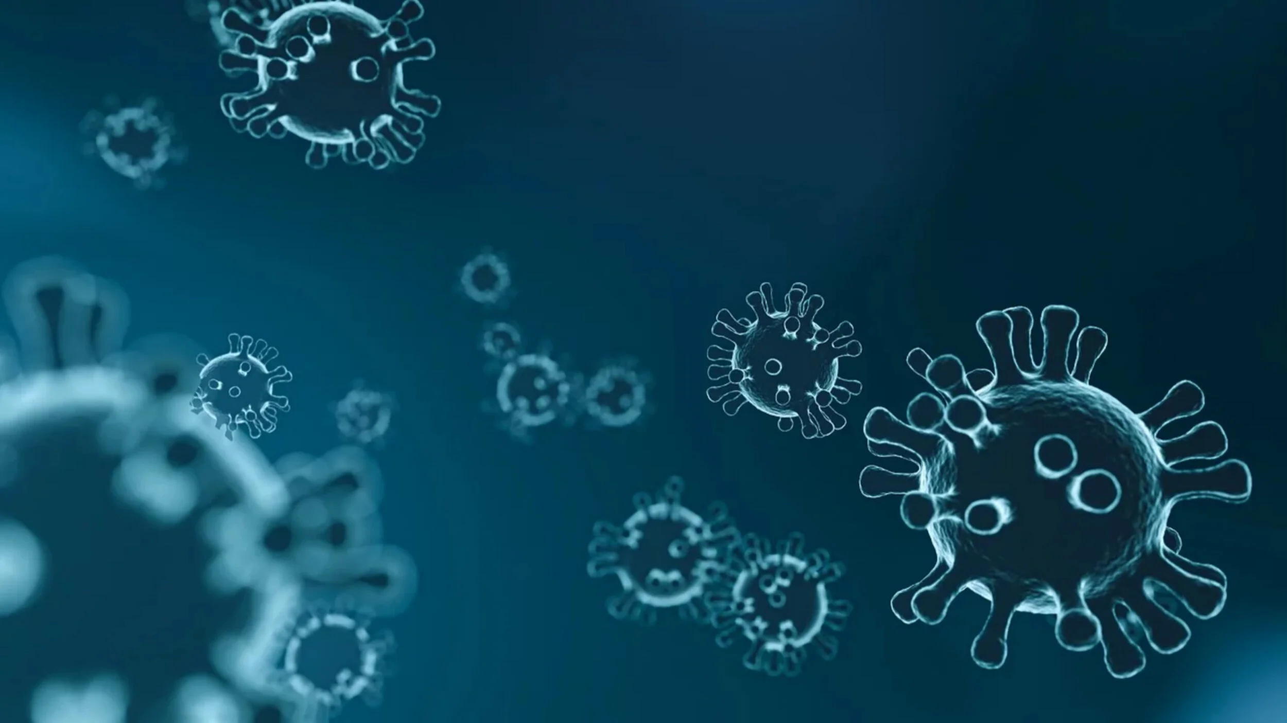 PMC+Impact%2C+ZOetermeer+-+Corona-virus.jpg