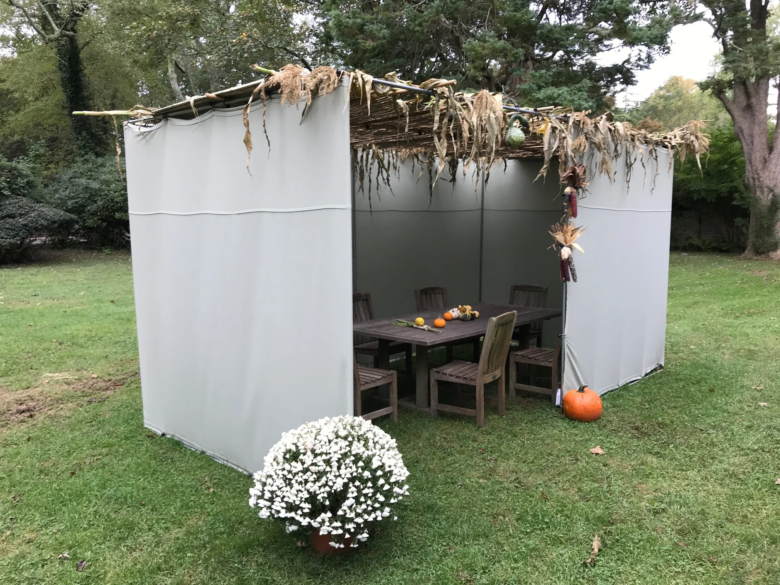 Sukkot: Embrace Tohu VaVohu (Chaos and Disorder)