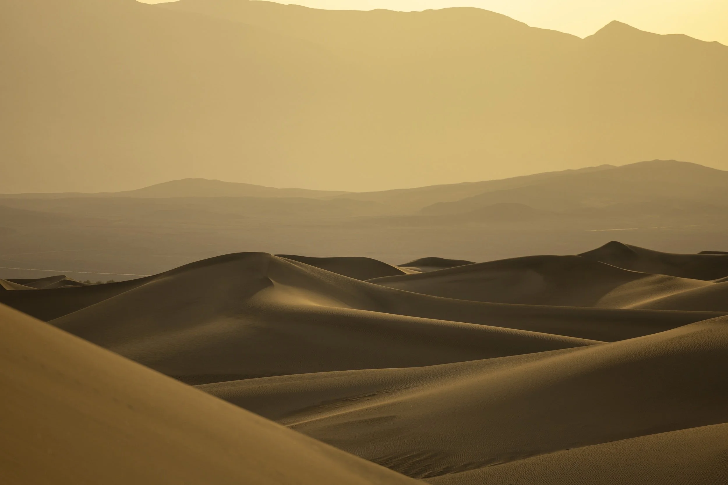 The Midbar - The Place of Silence 