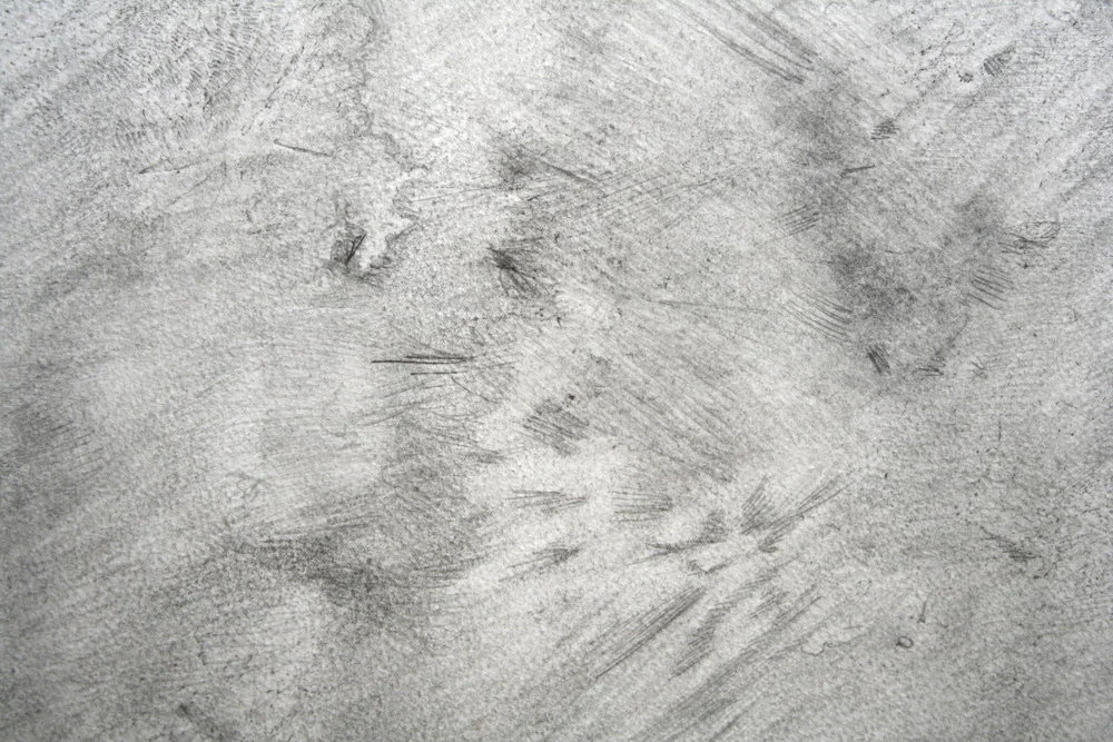 Gudrun_filipska fen territory.JPG