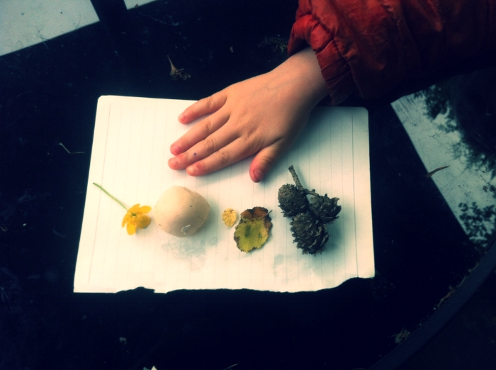 Hand, buttercup, egg shell, leaf, pinecone.