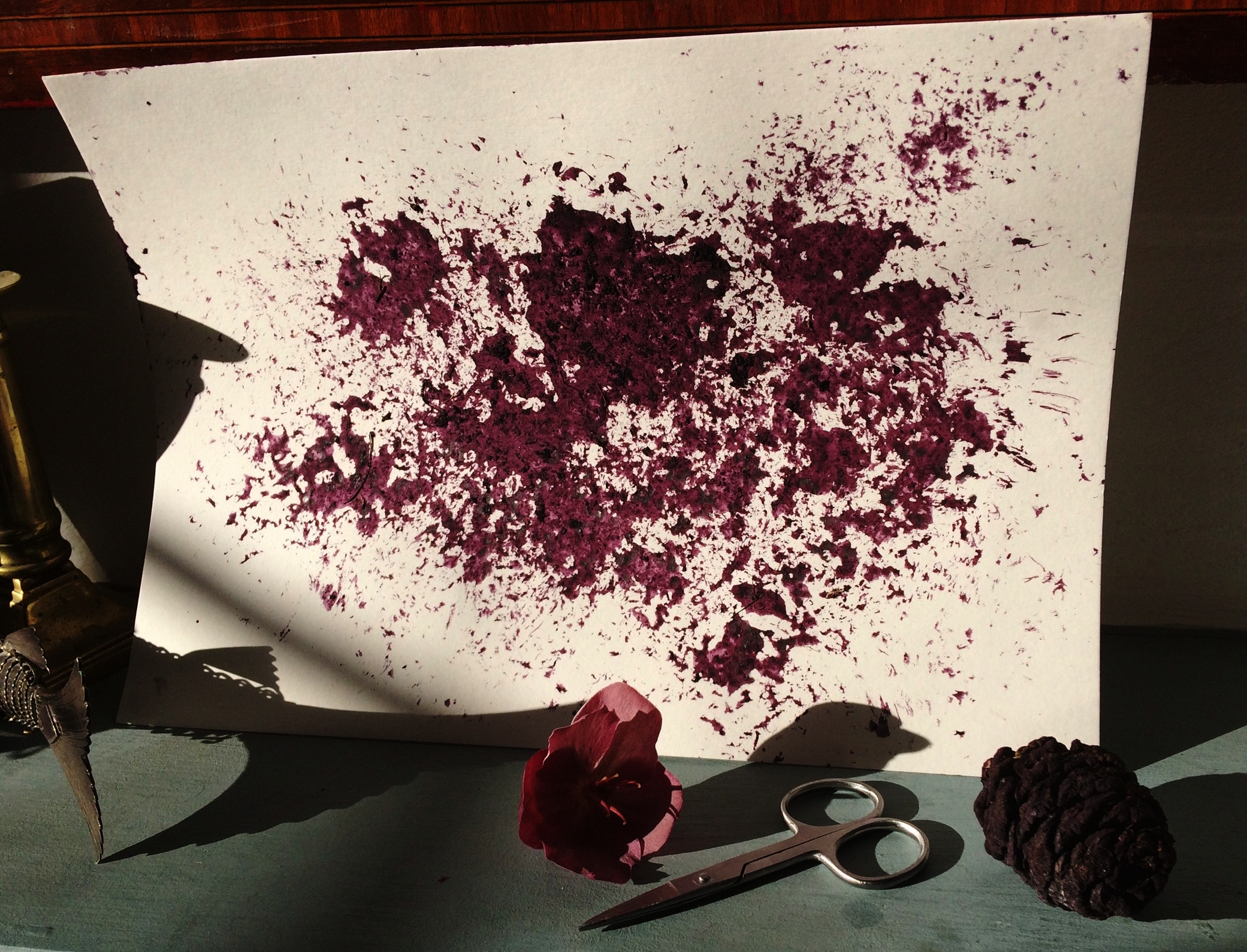 Print made with moss clump and ink, Hellebore flower, scissors and Sequoia cone