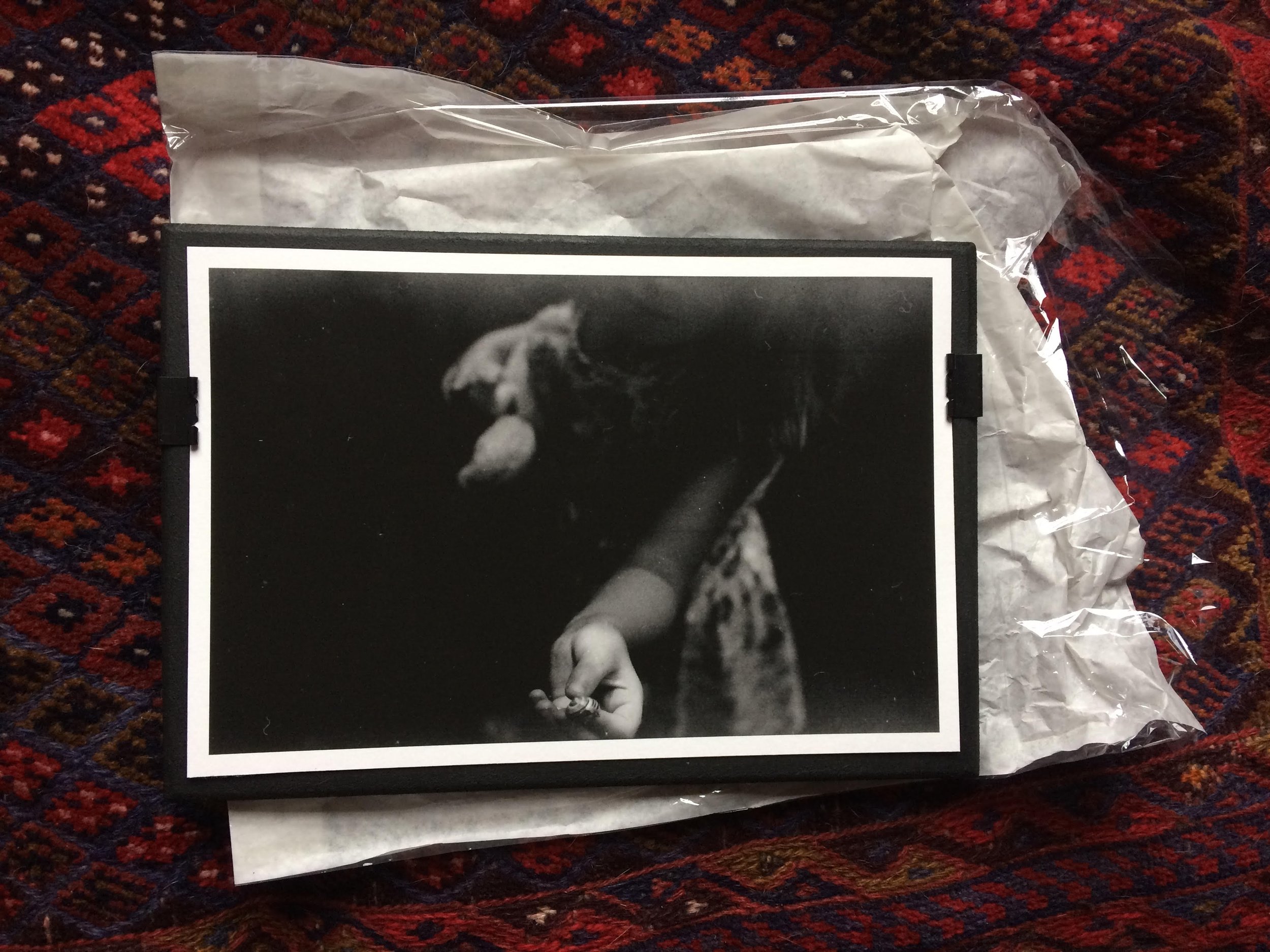 Caffenol developed image - Gudrun Filipska.