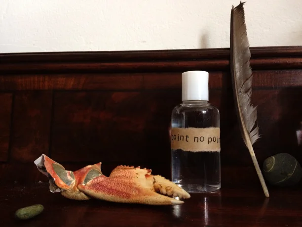 Crab's claw, seawater, feather. Sent from Carly Butler to Gudrun Filipska.