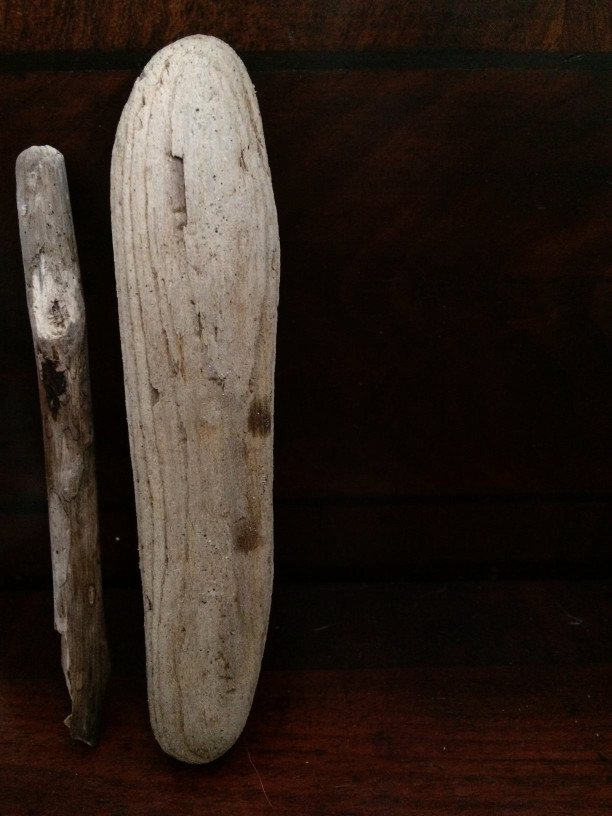 Driftwood sent from Carly Butler.