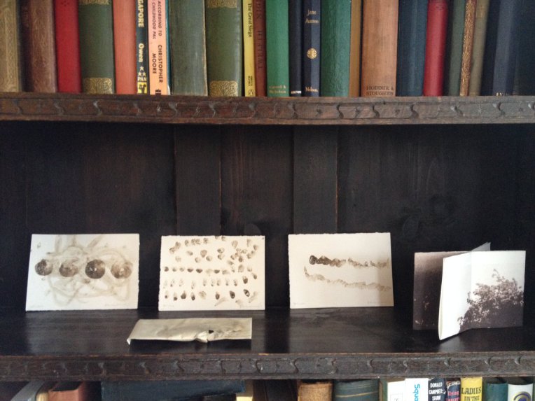 Painting made with Fenland soil and water , on Carly Butler's shelf.