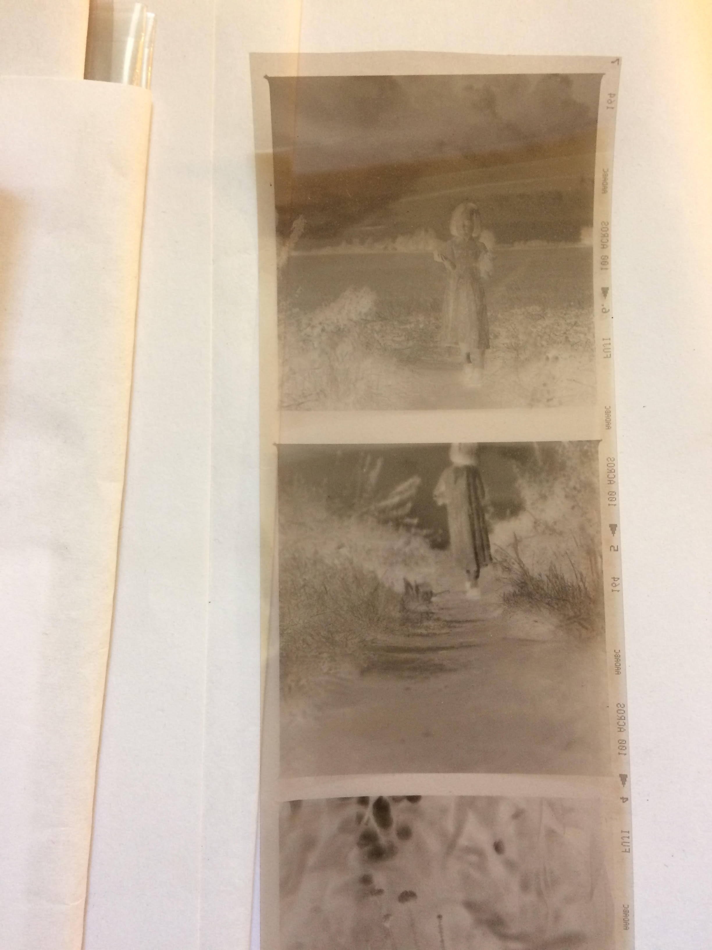 Cafenol negatives of Fordham pathways. Gudrun Filipska - Carly Butler.