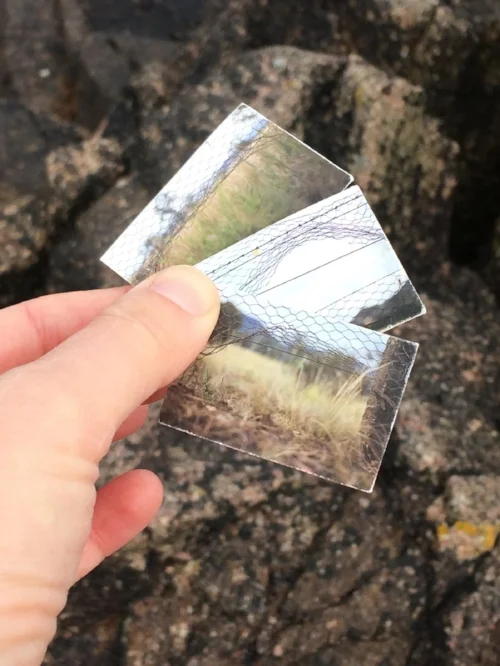 Small images from Alana Hunt's 'To Greener Pastures'. Part of my 'Pocket Archive'. Photographed on Jersey, September 2017.
