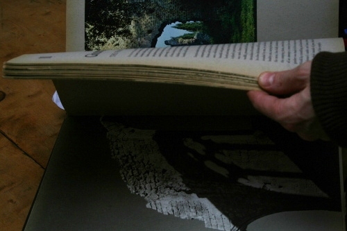 Reading Rose Macauley's The Pleasure of Ruins. Digital photograph- Gudrun Filipska. - 2013