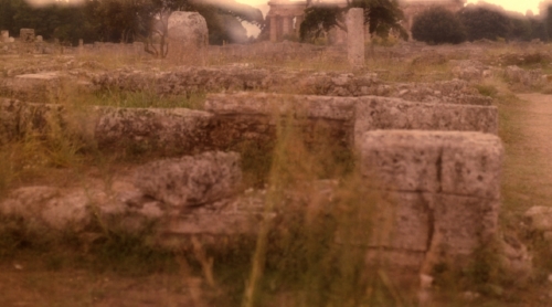 Paestum 11 - Medium Format photograph . William McDonald - 2011.