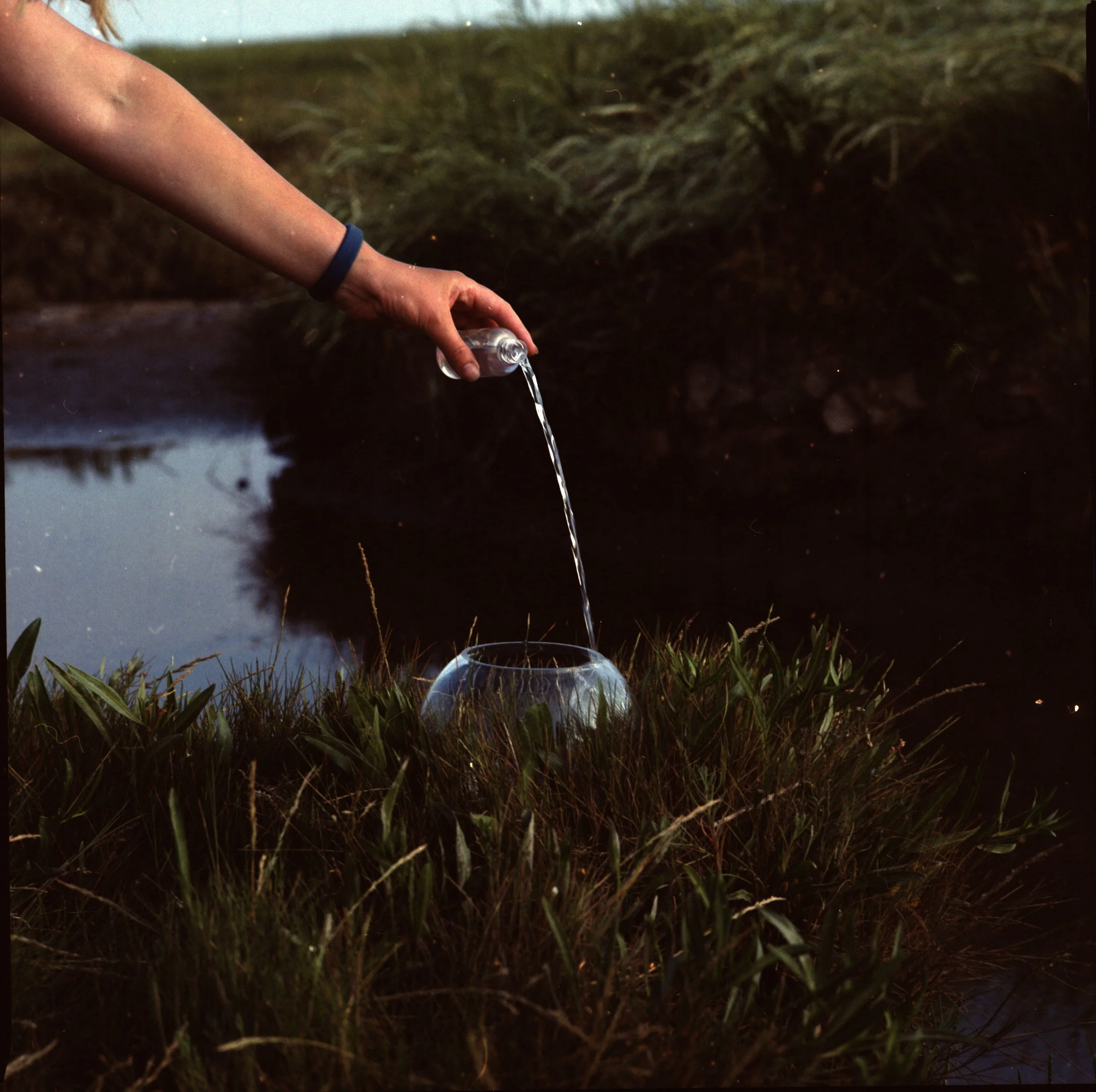 Wash Fishbowl.jpg